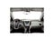 2013 Chevrolet Equinox LT 1LT