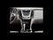 2013 Chevrolet Equinox LT 1LT