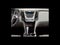 2013 Chevrolet Equinox LT 1LT