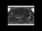 2021 Mazda Mazda CX-5 Carbon Edition Turbo